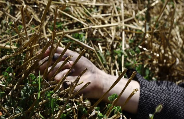 naked womans body was found in LPR canal