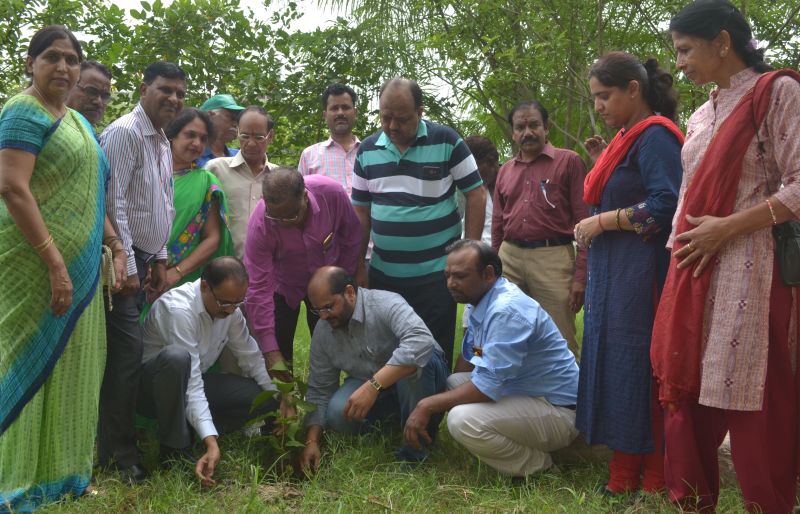 Greenothon: Tree Plantation by Rajasthan Patrika