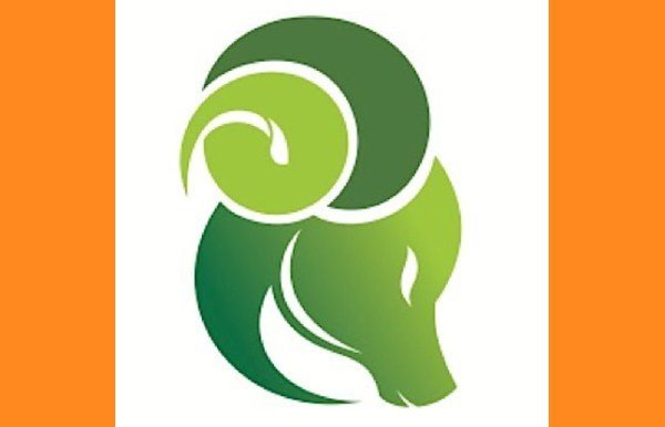 Capricorn zodiac sign prediction