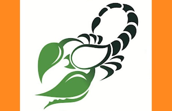 Scorpian zodiac sign prediction