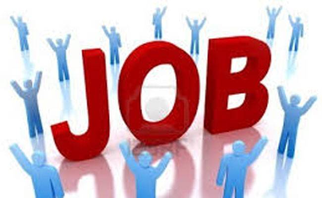 Government job vacancy