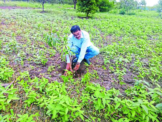 Shayar manzar bhopali