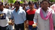 cow death,cow death in cg,congress protest,cg congress protest