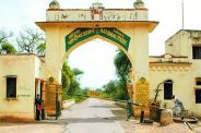 Dangers in the tigers den at sariska