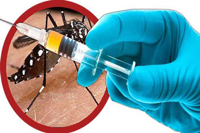 These five home remedies will increase platelets and protect from dengue