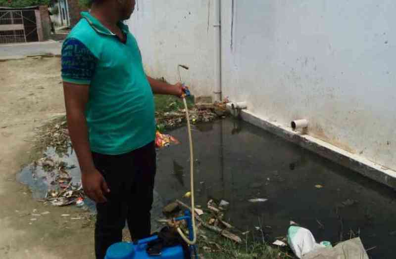 swine flu and dengue