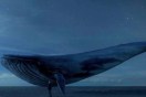 Blue Whale Game