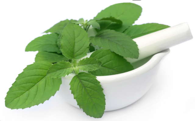 Basil water will rest in the sore throat
