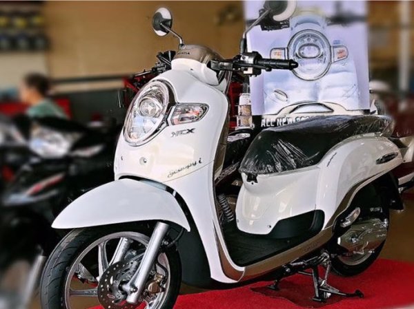 Honda Scoopy Scooter