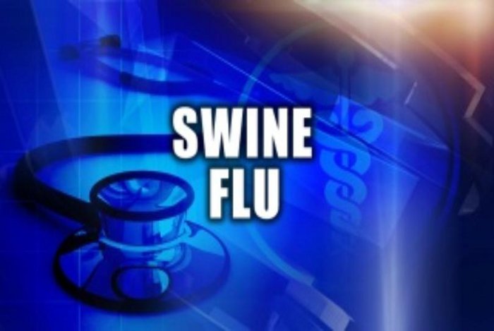 Swine Flu, Dengu, Death of Swine Flu Patient, Swine Flu in Kota, Swine Flu in Rajasthan, Rajasthan Patrika, Kota Patrika, Patrika News, Kota News