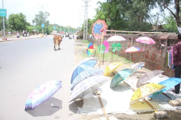 beautiful pics of summer