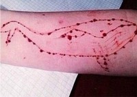 Blue whale challange game