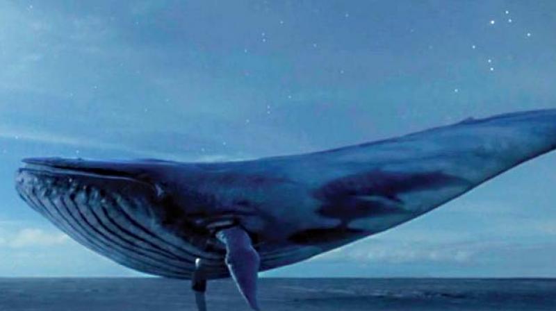 blue whale game trapped a girl in jodhpur