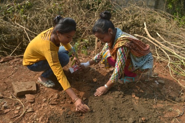 Tree Plantation by IMA Woman Wing and Rotary Club Padmini