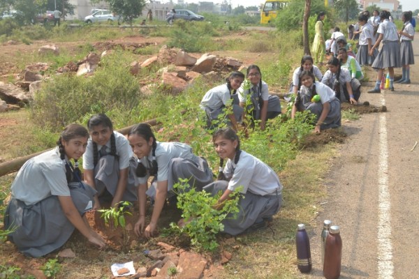 Tree Plantation by IMA Woman Wing and Rotary Club Padmini
