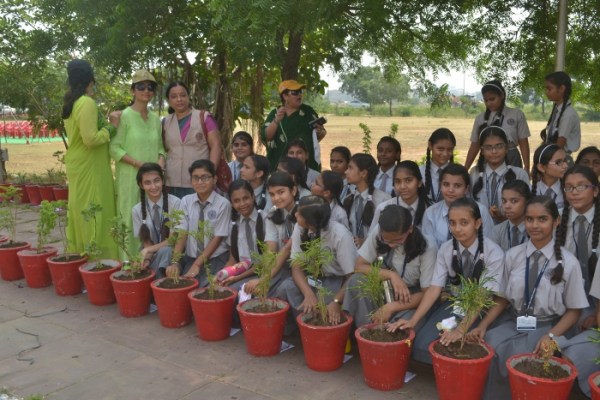 Tree Plantation by IMA Woman Wing and Rotary Club Padmini