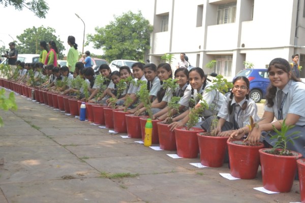 Tree Plantation by IMA Woman Wing and Rotary Club Padmini