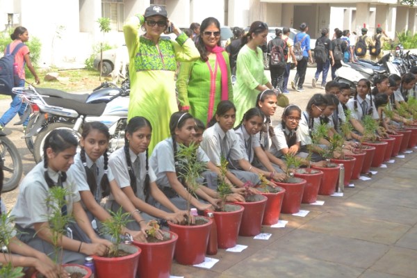 Tree Plantation by IMA Woman Wing and Rotary Club Padmini