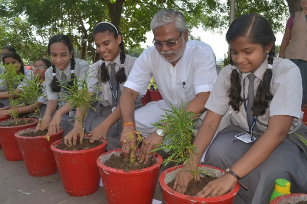 Tree Plantation by IMA Woman Wing and Rotary Club Padmini