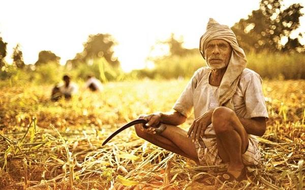 kisan