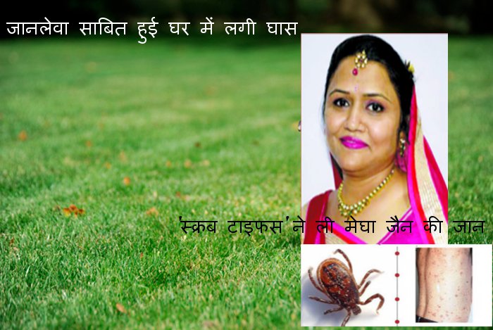 Scrub Typhus, death due to scrub typhus, Scrub Typhus Treatment, Prevention Of Scrub Typhus, Megha Jain, Kota News, Rajasthan patrika, Patrika News, Kota Patrika