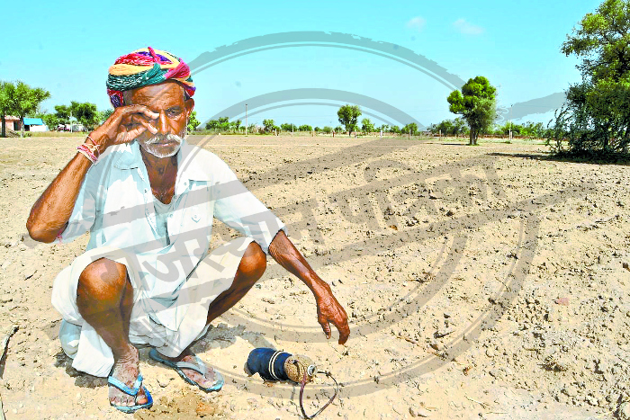 Jodhpur farmers are worried due to weather change