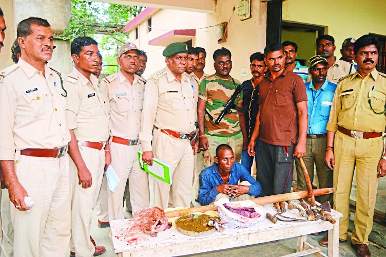 Black duck meat was cooked the forest department was caught