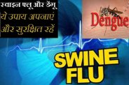protection from Swine Flu And Dengu