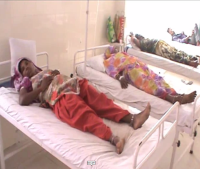 amroha road accident