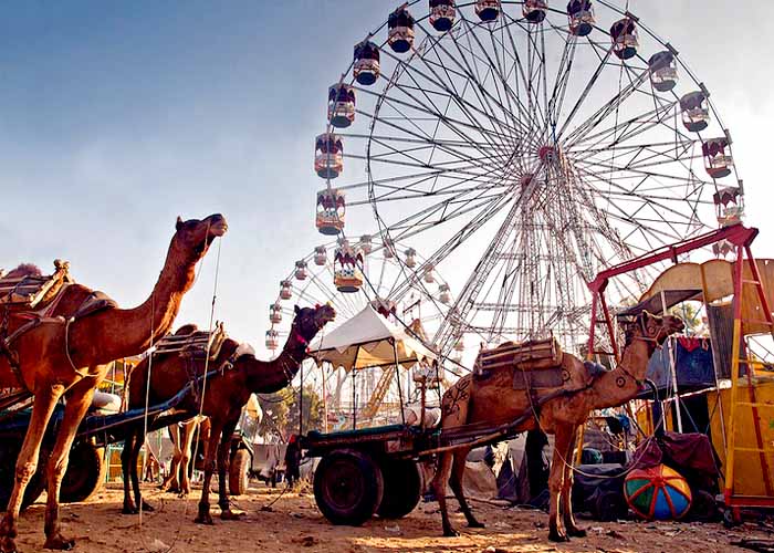 pushkar fair will be high tech this year cctv cameras watch tourists