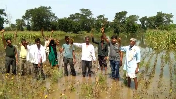 The rain has raised the new trouble