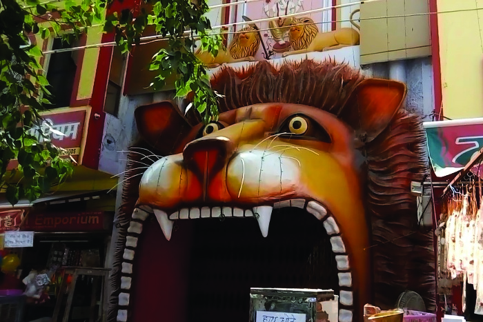 navratri celebration in sriganganagar