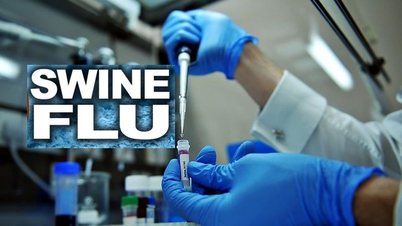 Swine flu patients in bikaner