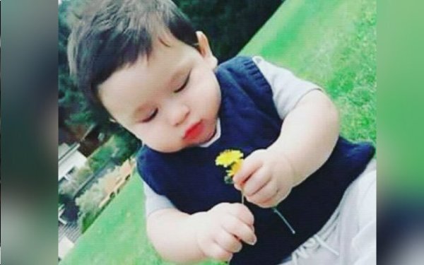 taimur ali khan