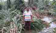 Sugarcane Crop