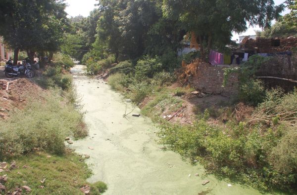 चम्बल नहर