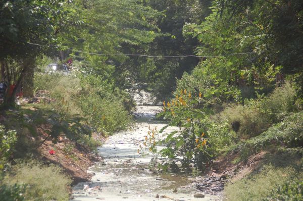 चम्बल नहर