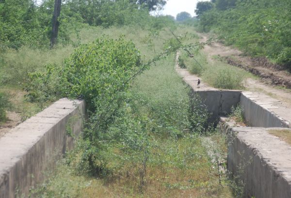 चम्बल नहर