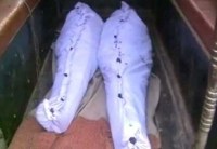 Husband and Wife Found Dead