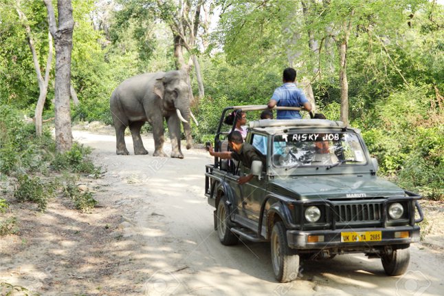 nature park dumna: now Jungle tour by gypsy