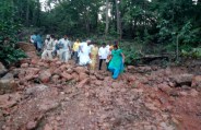 MLA-Collector