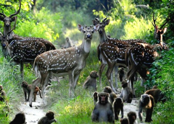 World Tourism Day 2017