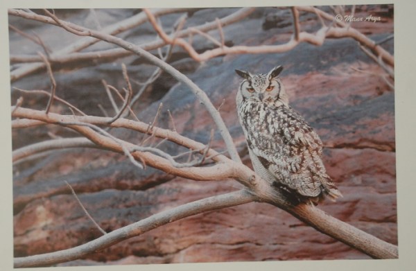 फोटो प्रदर्शनी