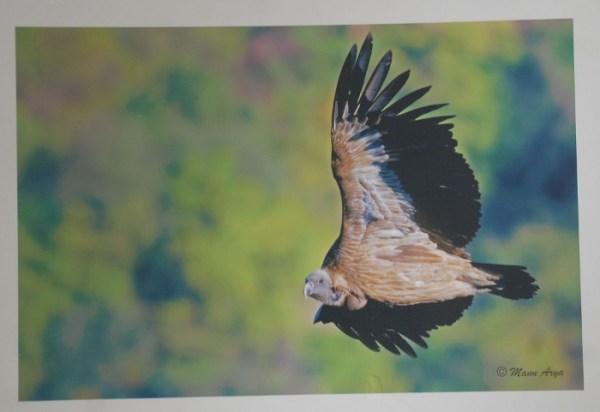 फोटो प्रदर्शनी