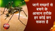 Mosquito related health issues 