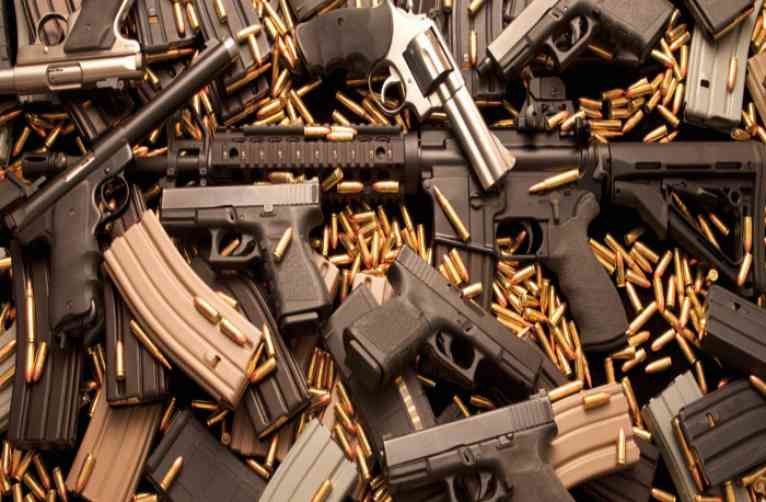 Nagaland,arms and ammunition,arrest,