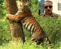 Tiger Project will not stop due to village displacement