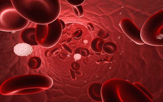 uncontrolled-blood-cancer-cells