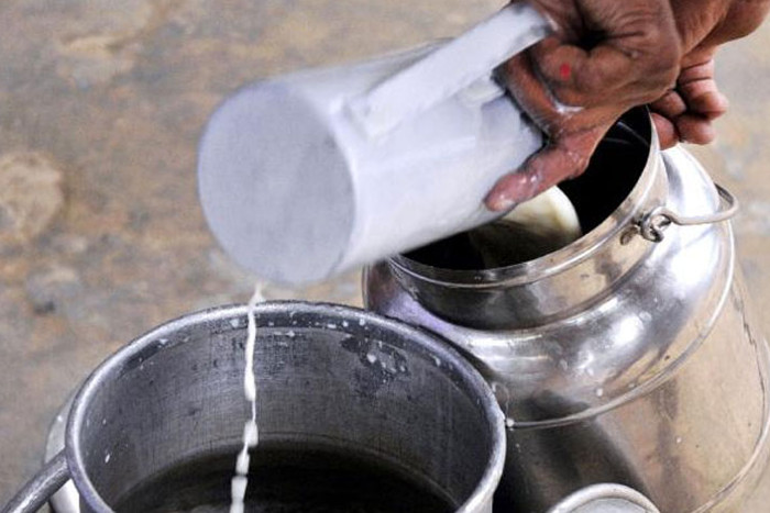 milk testing