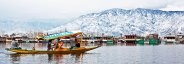 kashmir